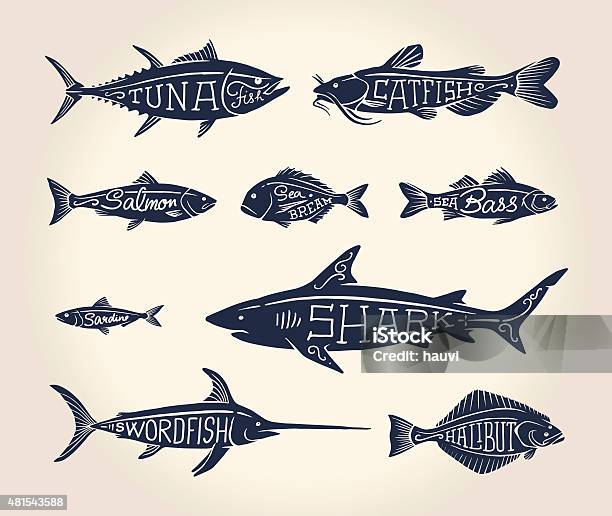 Vintage Illustration Of Fish With Names Stock Illustration - Download Image Now - Fish, Illustration, Salmon - Animal