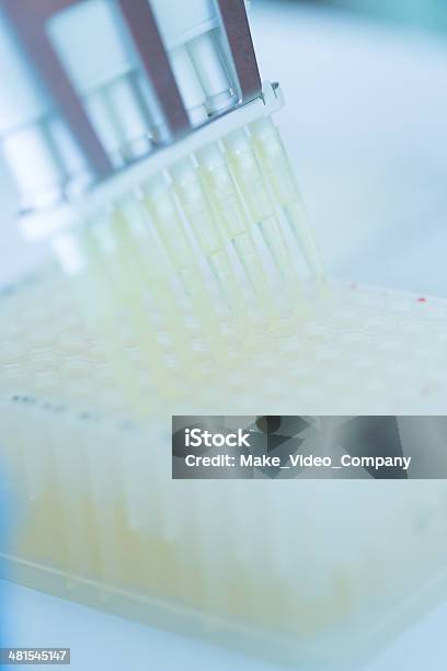 Experimento De Laboratorio Foto de stock y más banco de imágenes de 30-39 años - 30-39 años, Adulto de mediana edad, Agarrar