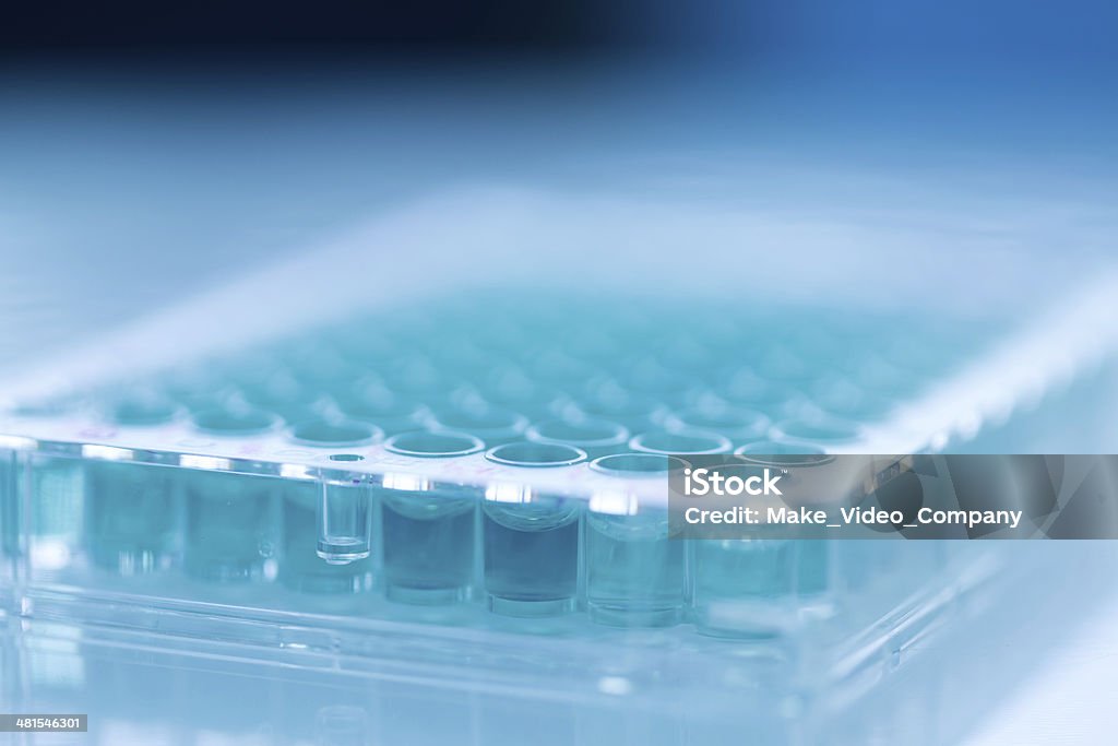 Assay plate 96 well with blue buffer Plate for chemical analysis such as antioxidant tests with different concentrations 80-89 Years Stock Photo