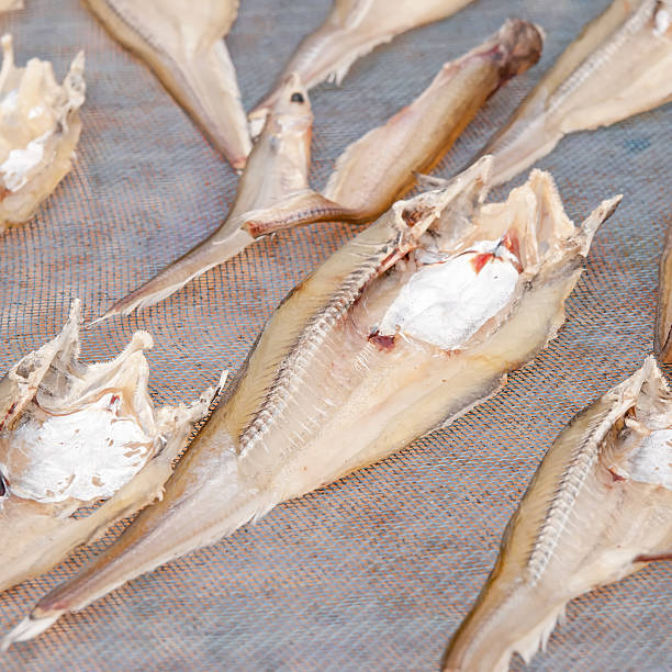 istock Traditional fish drying outdoors 481552657