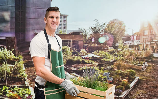 istock Smiling male gardener in vegetable garden 481555896