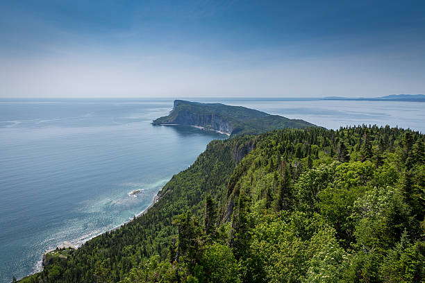 istock View of Cap Bon Ami, Forillon, Quebec, Canada 481558616