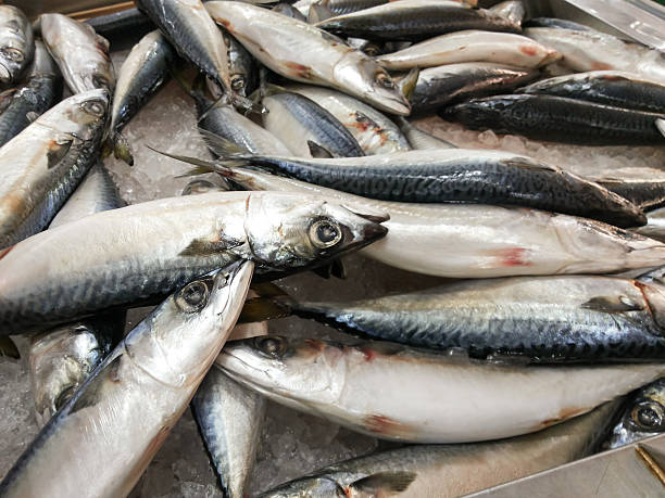 istock Saba fresh selling in the market. 481559262