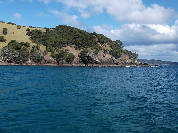 istock Paihia, New Zealand 481559426