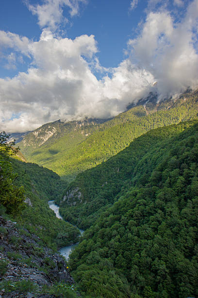 istock Caucasian mountains covered with forests. 481559656