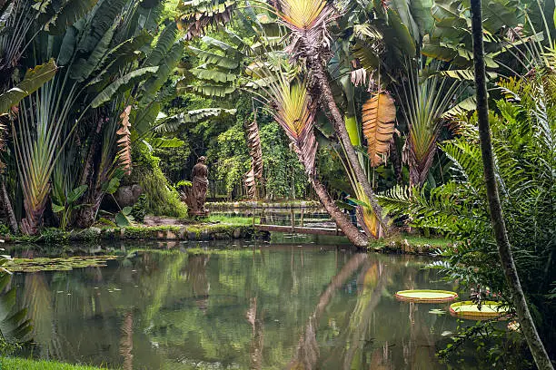 Photo of Botanical Garden of Rio de Janeiro, Brazil