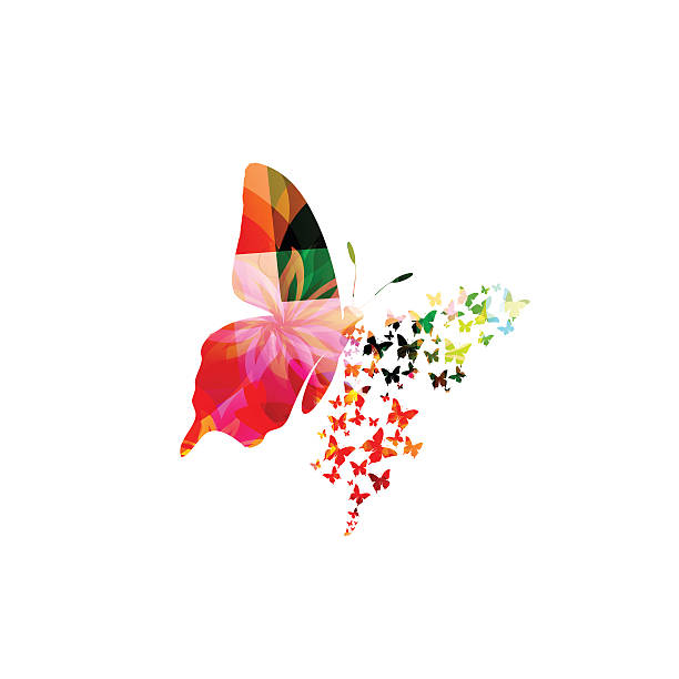 ilustrações, clipart, desenhos animados e ícones de borboleta colorida design - flower single flower macro abstract