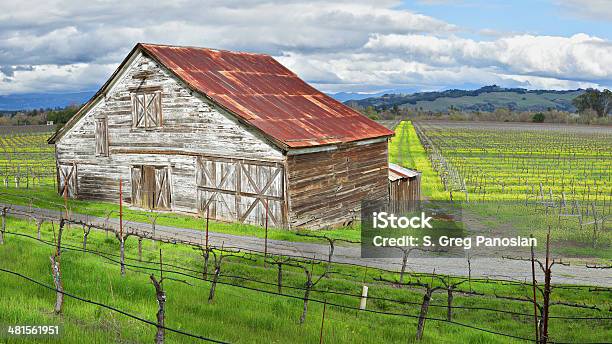 Celeiro Na Vinha - Fotografias de stock e mais imagens de Agricultura - Agricultura, Ao Ar Livre, Califórnia