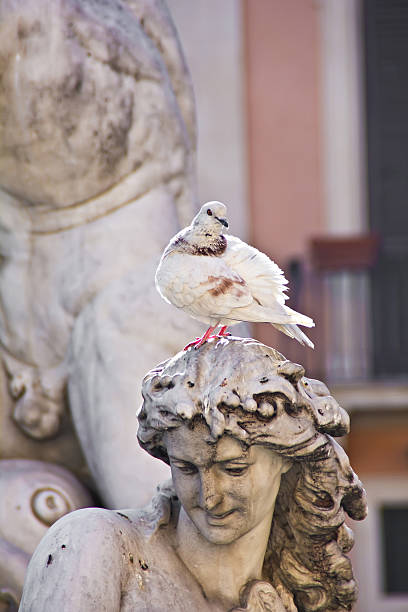 istock Statue fountainand dove in Rome 481561988