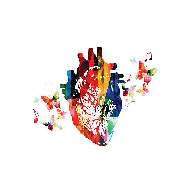 illustrazioni stock, clip art, cartoni animati e icone di tendenza di design colorato cuore umano - human artery animal artery human vein healthcare and medicine