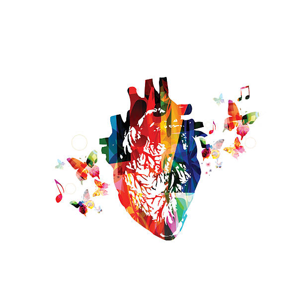 색상화 휴머니즘 심장 디자인식 - human artery animal artery human heart blood stock illustrations