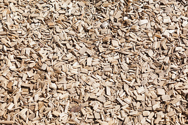 istock wood chip background. Bio Fuel. Alternative energy. 481563298