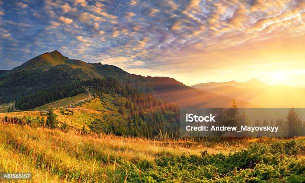 Sommerlandschaft In Die Berge Sunrise Stockfoto und mehr Bilder von Sonnenaufgang - Sonnenaufgang, Berg, Landschaft