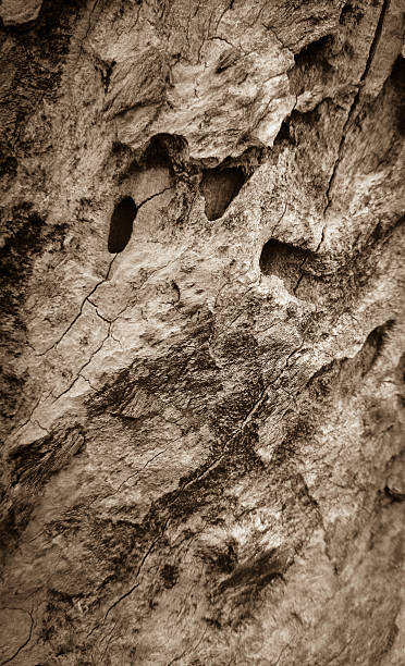 istock Old wooden board with holes, close up 481565684