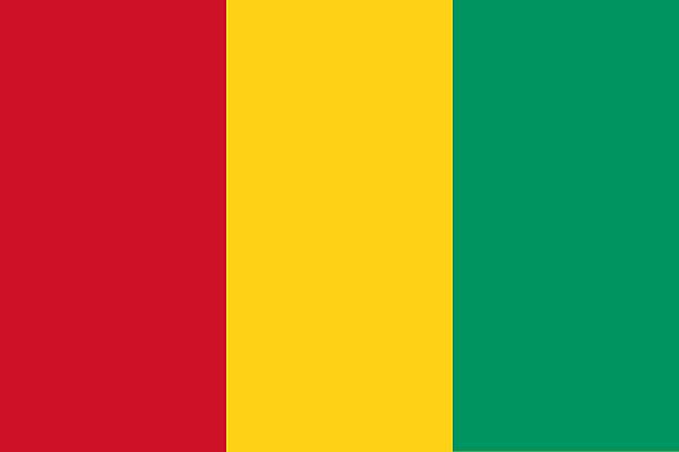 Official flag of Guinea nation