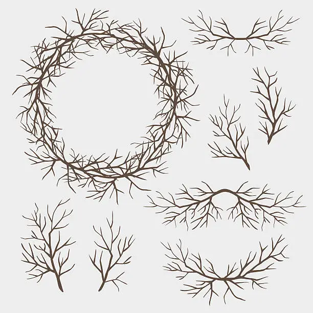 Vector illustration of Set of branches