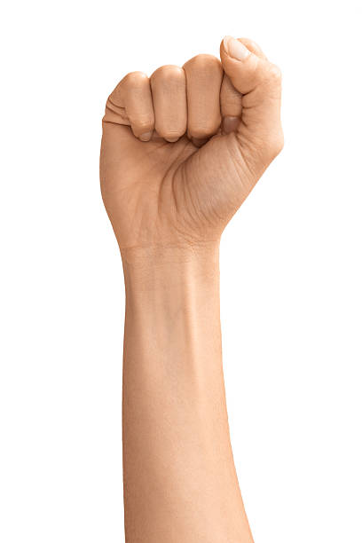 istock Isolated Hand Fist 481569103