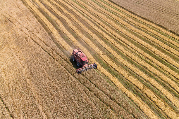 istock Combine Harvesting a Fall Corn Field Aerial 481570046