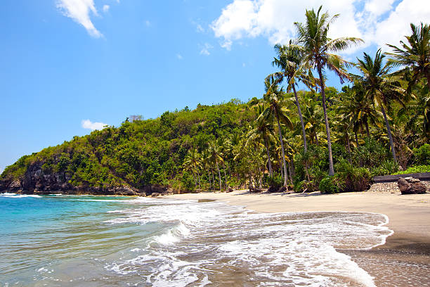 istock sandy beach on rocks at ocean. Indonesia, Bali 481574352