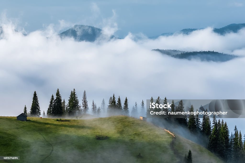 Carpathian Mountains. The mountains in the fog Carpathian Mountains. High-altitude areas of the mountains covered with green grass and fog. 2015 Stock Photo
