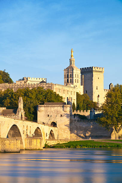 avignon ponte con papi palace e fiume rodano, provenza, francia - rhone bridge foto e immagini stock