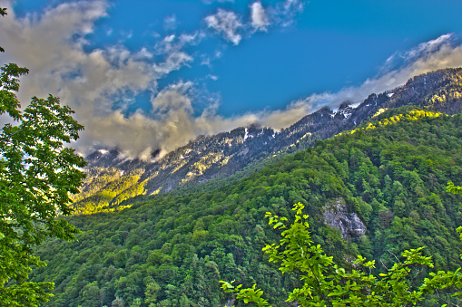 Caucasian mountains covered with forests, Abkhazia.