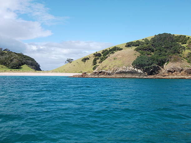 istock Paihia, New Zealand 481576100