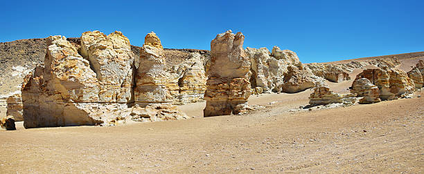 istock On the way to Salar de Tara, Chile 481576528
