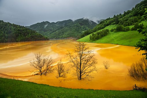 Tranquil landscape distorted by polluted water originating from mining activities.