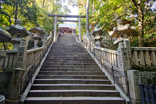 Shikoku,Japan-November 19, 2014:Kotohira shrine is the main shrine of multiple Kompira shrines found around Japan that are dedicated to sailors and seafaring. Located on the wooded slope of Mount Zozu in Kotohira, the approach to Kompirasan is an arduous series of 1,368 stone steps. 