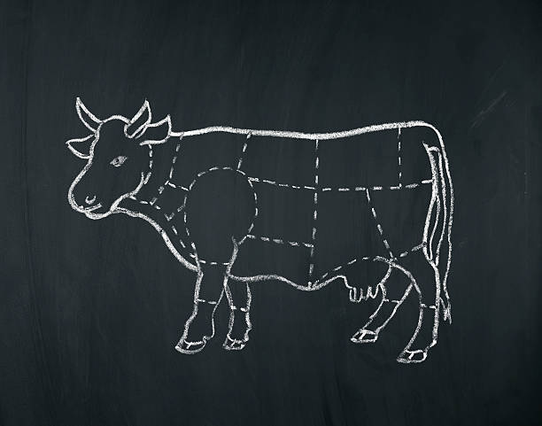 meat diagram of a cow chalked on a blackboard. food concept.