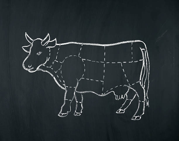 meat diagram of a cow meat diagram of a cow chalked on a blackboard. food concept. female rib cage stock pictures, royalty-free photos & images