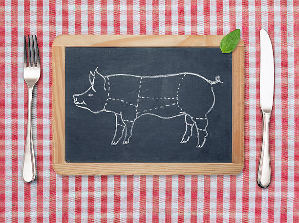 diagrama de carne de porco - schweineschnitzel - fotografias e filmes do acervo