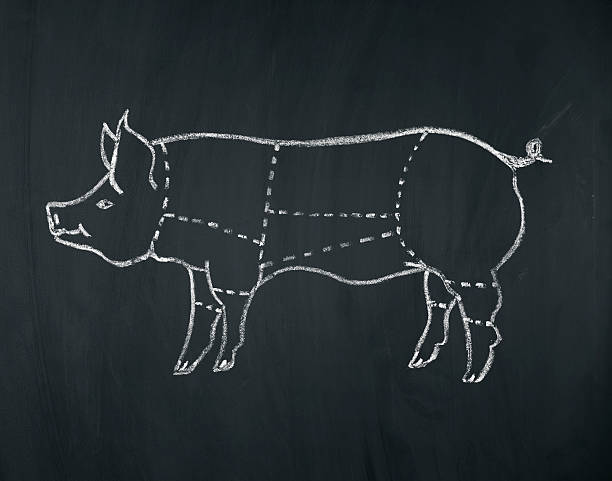meat diagram of a pig stock photo