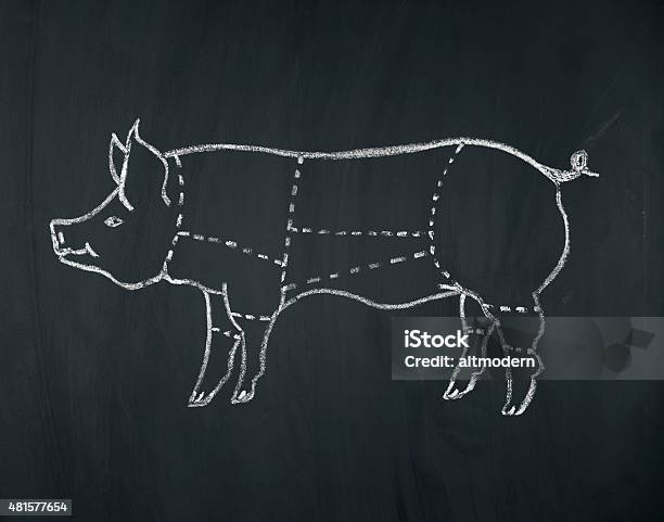 Meat Diagram Of A Pig Stock Photo - Download Image Now - Pig, Pork, Cutting