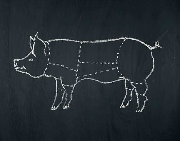 diagrama de carne de porco - schweineschnitzel - fotografias e filmes do acervo