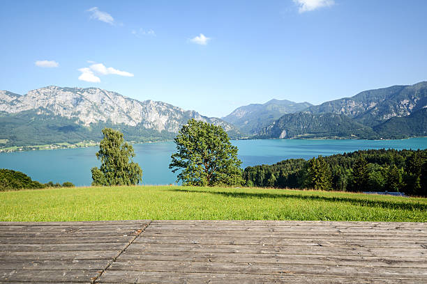 View from alpine pasture to lake Attersee, Salzburger Land, Austria Austrian Alps: View from alpine pasture to lake Attersee, Salzburger Land, Austria attersee stock pictures, royalty-free photos & images