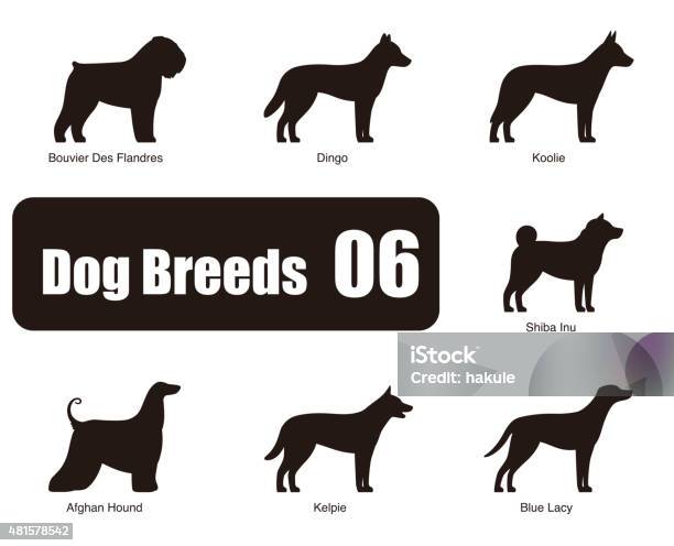 Set Of Dog Breeds Black And White Side View Vector Stock Illustration - Download Image Now