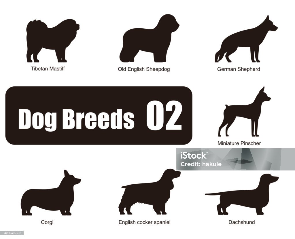 set of dog breeds, black and white, side view, vector Dog breeds,  standing on the ground, side,silhouette, black and white, vector illustration, dog cartoon image series Dog stock vector