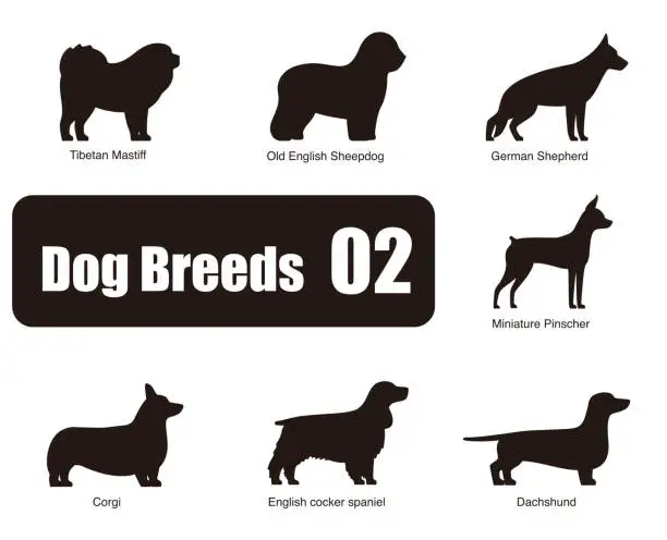 Vector illustration of set of dog breeds, black and white, side view, vector