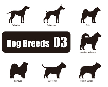 Dog breeds,  standing on the ground, side,silhouette, black and white, vector illustration, dog cartoon image series