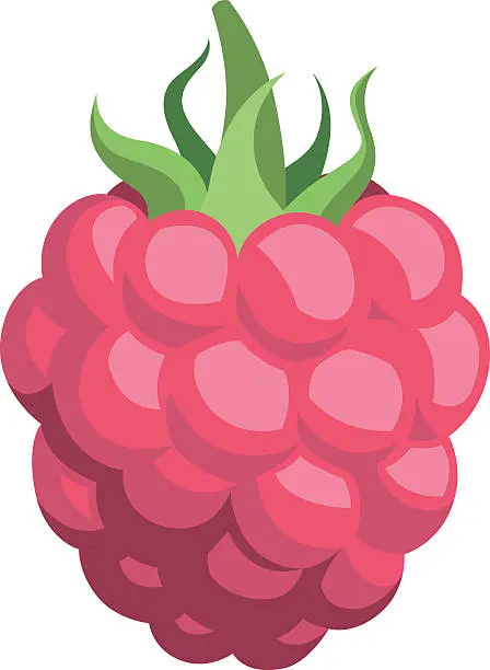 Vector illustration of Raspberry Cartoon