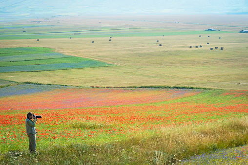 Mature man in bright green sweatshirt, vest and long trousers photographing flower field with poppy flowers, buckwheat and other flowers, near Castelluccio, Umbria, Italy. Side view. Copy space, lots of red color. Nikon D800, full frame, XXXL.
