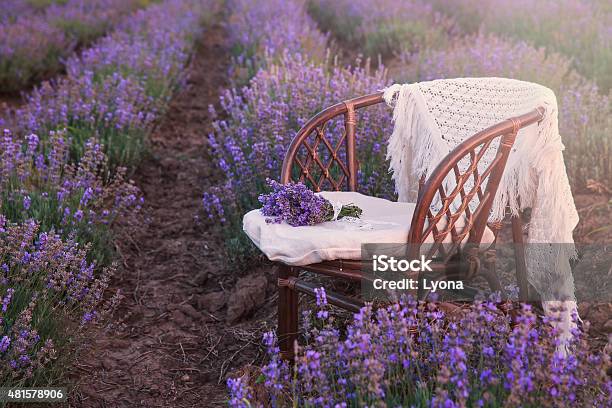 Table Decoration In Lavender Flowers Stock Photo - Download Image Now -  Crochet, Tablecloth, Doily - iStock