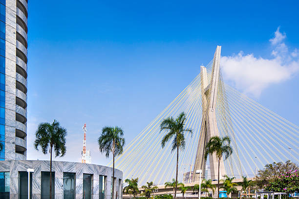 istock Famous cable stayed bridge at Sao Paulo city. 481580252