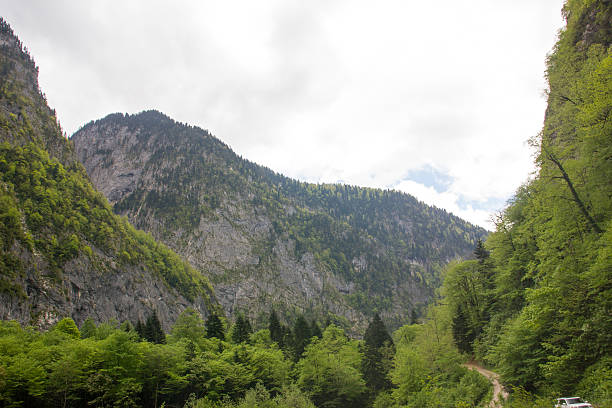 istock Caucasian mountains covered with forests. 481580420