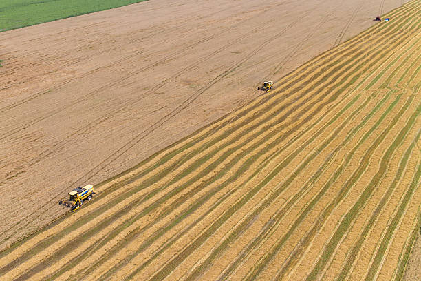 istock Combine Harvesting a Fall Corn Field Aerial 481585162