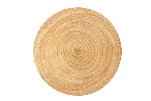Close-up wood grain of tamarind tree