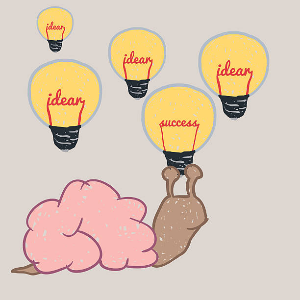 Snail brain. Snail brain free hand drawing vector, show snail brain choose idea lamp and success lamp. thinking fast and slow stock illustrations