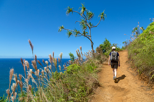 Picture of the famous Kalalau Trail on the island of Kauai, Hawaii. A woman hiker is walking on the trail. There is some plants, trees and flowers in the foreground. The pacific ocean, the mountains and the blue sky with few clouds in the background. 